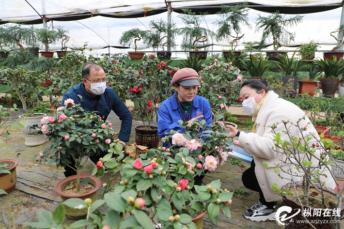 纪检干部护航脱贫攻坚