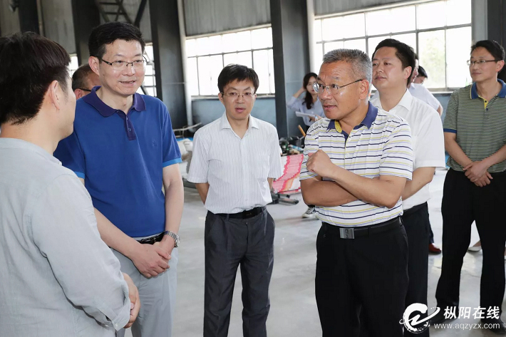 胡启生督导调度枞阳县集中开工重点项目建设情况