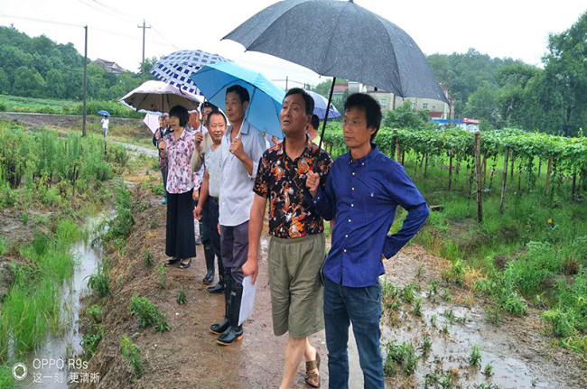 枞阳：农民工技能培训走进家门口