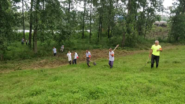 枞阳县永登段江堤防汛进行时