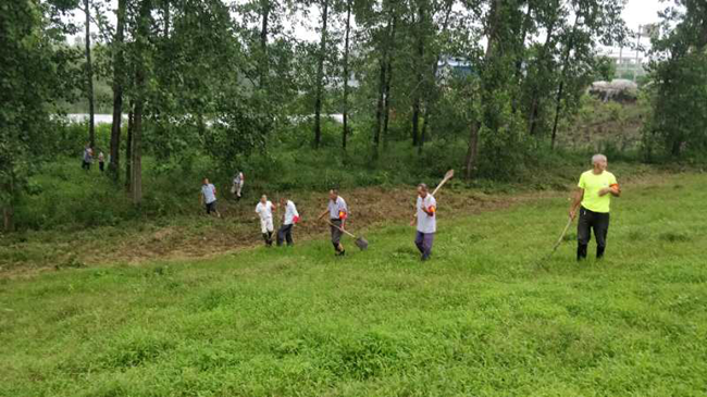 枞阳县永登段江堤防汛妨碍时