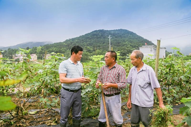 铜陵市总工会、铜陵有色总体公司深入睁开“随着劳模去扶贫”行动