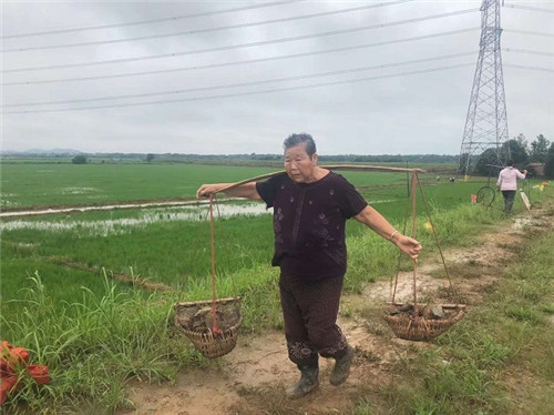 铿锵玫瑰！枞阳大堤上“乘风破浪的姐姐”