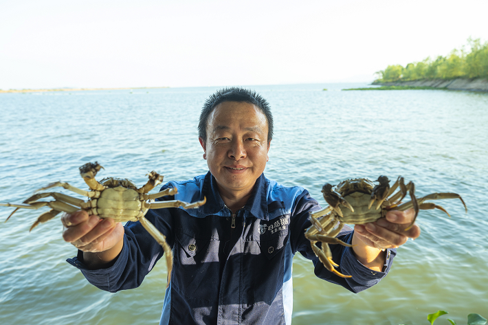 白荡湖大闸蟹， 带你品味影像中的滋味