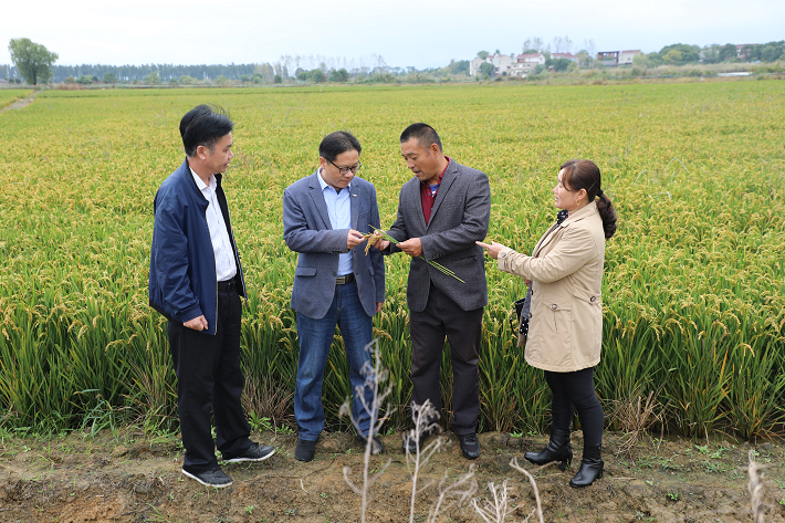 脱贫不忘再奋斗 带领村民同增收