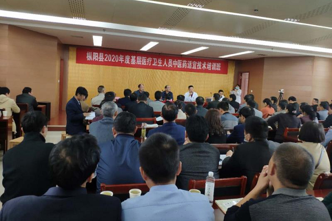 枞阳县举办中医药知识和中医药适宜技术培训