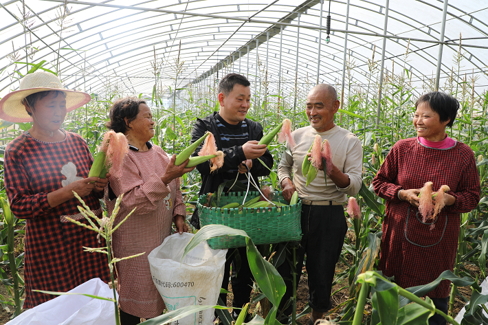 蔬菜基地助力精准脱贫