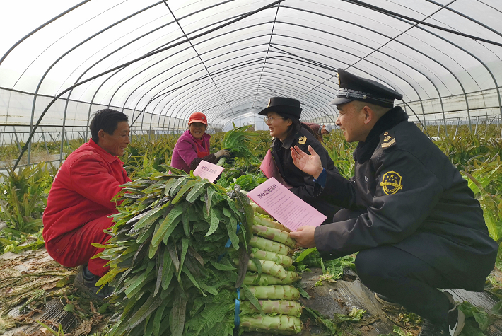 枞阳县运用知识产权助力贫贫民脱贫增收