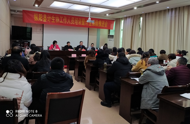 枞阳县计生协启动家庭健康促进行动暨工作培训和计生保险推进会