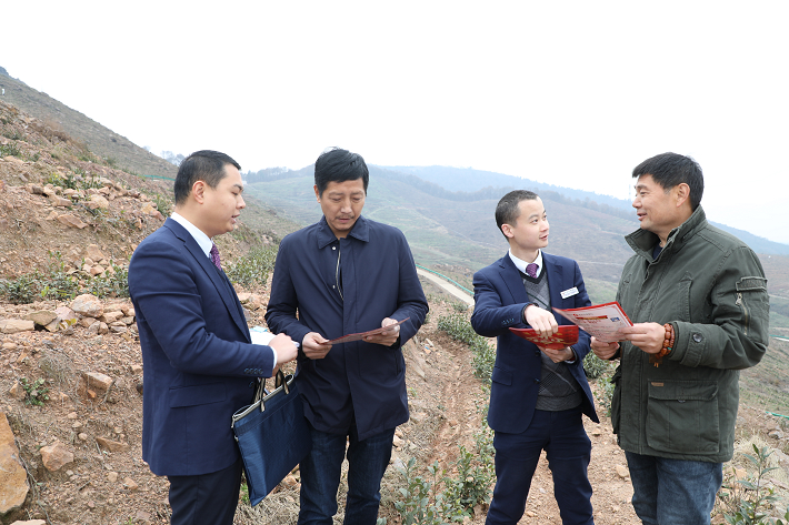完善金融服务助力乡村振兴