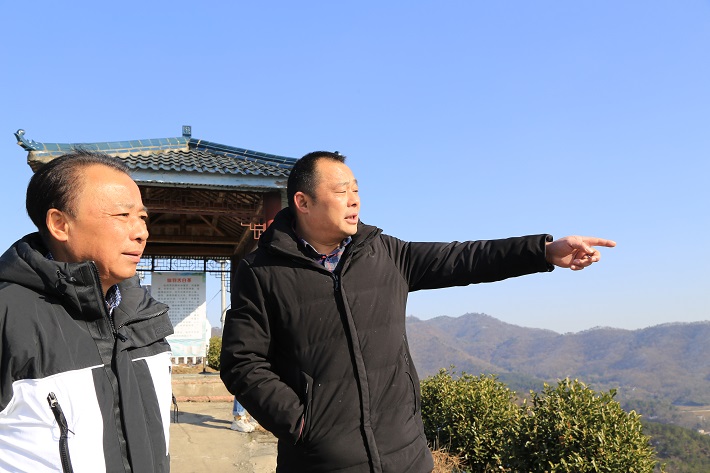 【代表委员风采】王士专：为枞阳白茶发展做贡献