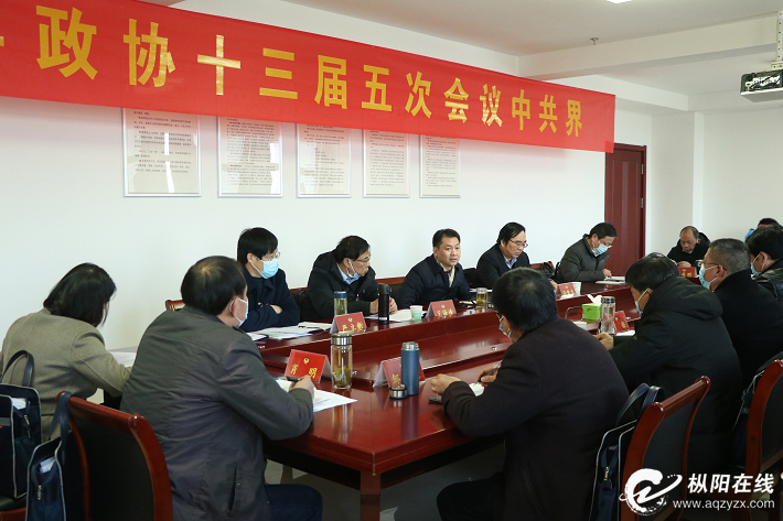 在服务枞阳高质量发展中彰显政协担当
