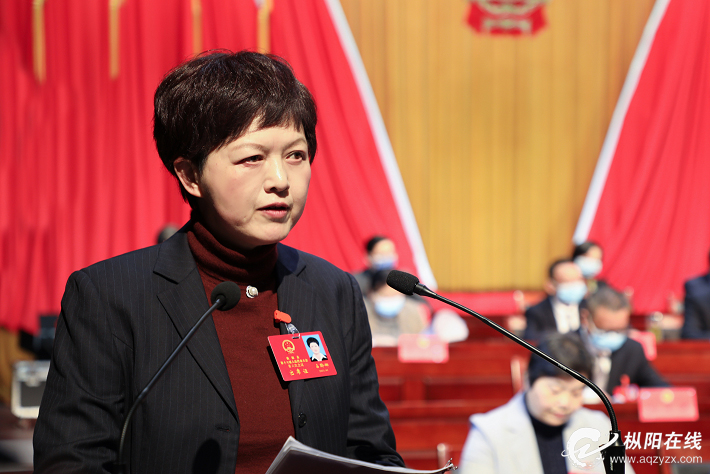枞阳县人民代表大会常务委员会工作报告
