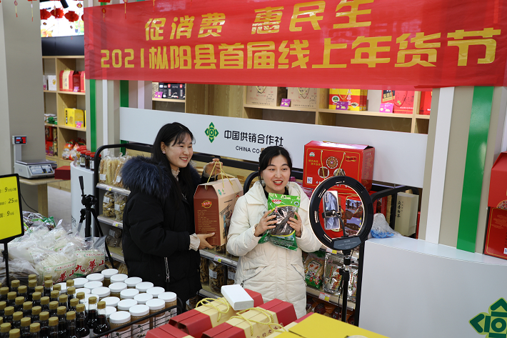 线上年货节 促销农产品