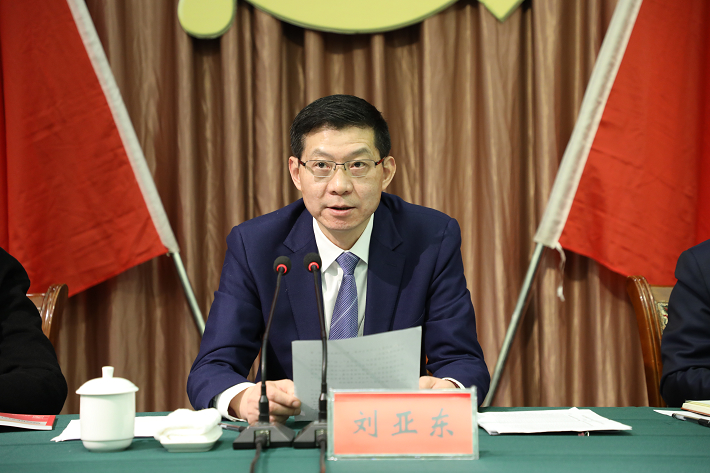 发挥全面从严治党引领保障作用<br>加快建设新阶段现代化美好枞阳