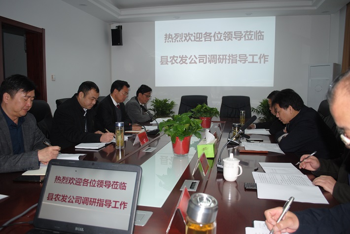 杨秀颀到县农发公司调研指导工作