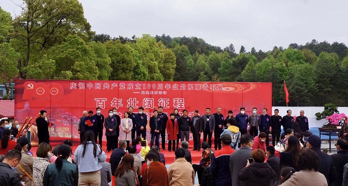 枞阳县举办花卉盆景根雕奇石展览