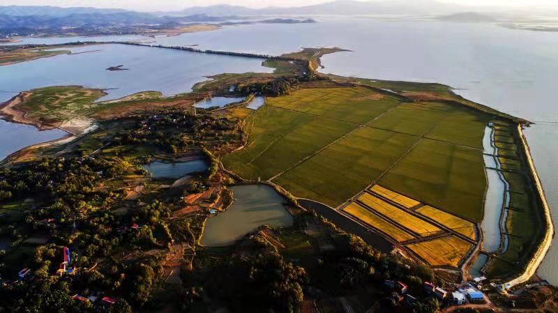 枞阳：河长治河护清流