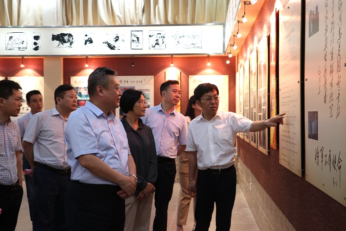 省委党史学习教育第十三巡回指导组来枞督导