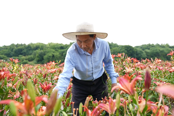 微信图片_20240625152233.jpg