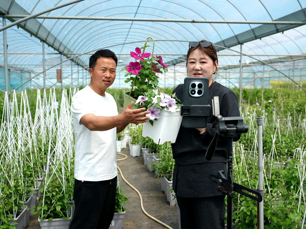 DSC07660_副本.jpg DSC07660_副本.jpg