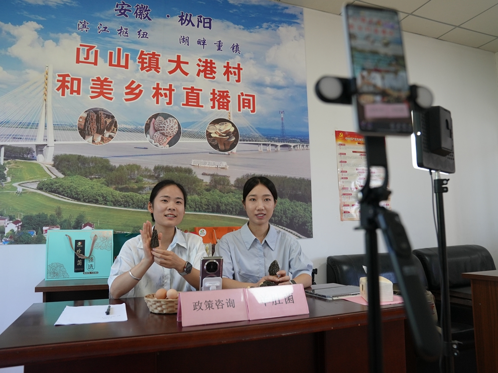 DSC04979_副本.jpg
